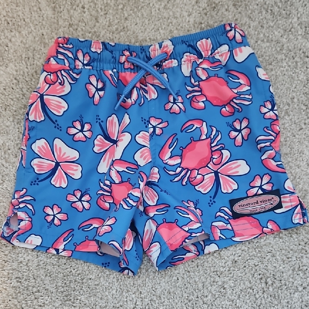 Vineyard Vines Blue and Pink Floral Shorts